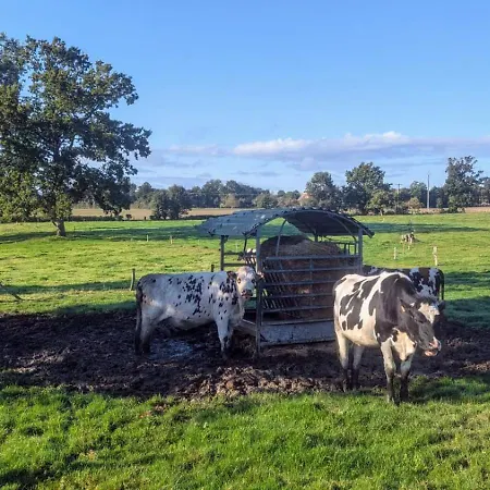 Des Champs Etoiles Thuboeuf