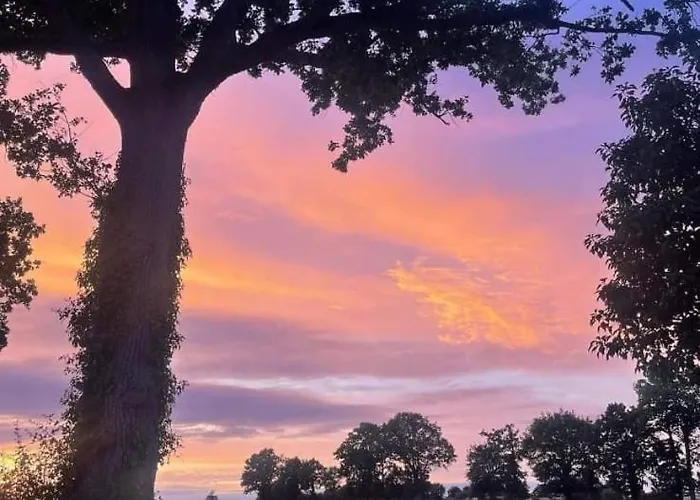 Des Champs étoilés Thuboeuf