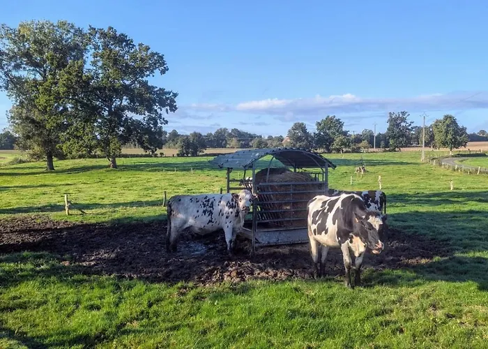 Des Champs étoilés Thuboeuf